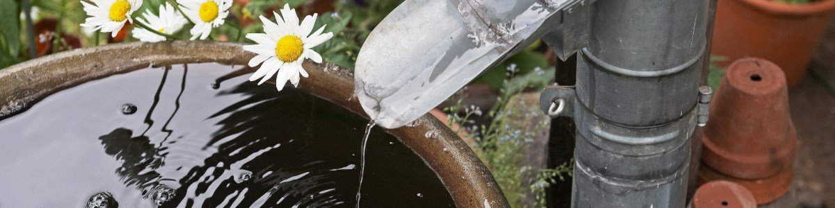 Regenton met waterlelies