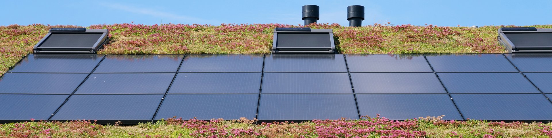 Zonnepanelen op een groen dak